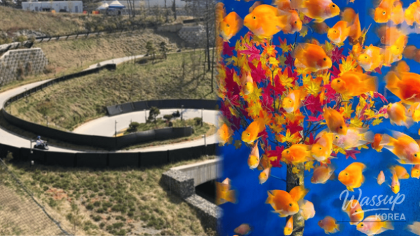 Overview of four recommended winter travel destinations in South Korea for a relaxed multi-day trip