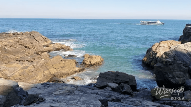 Winter coastline and urban scenery of Busan including beaches and city landmarks