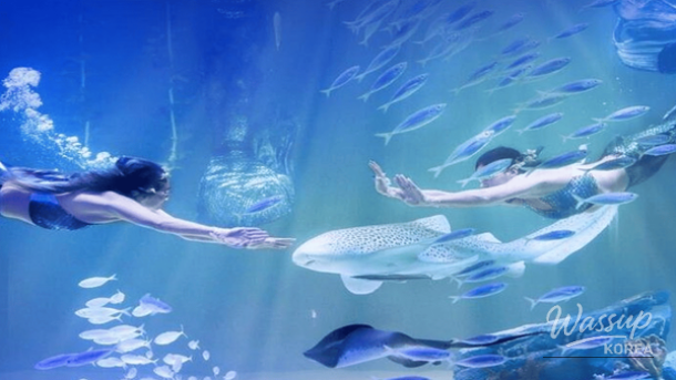 Street scenes and cultural attractions in Daegu during winter