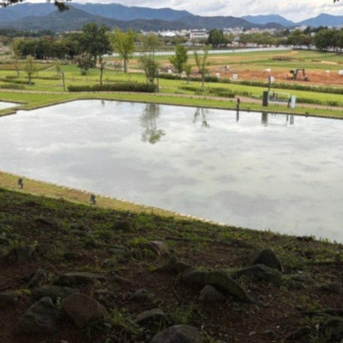 Modern steel and glass architecture reinterpreting a Silla-era burial mound in Gyeongju