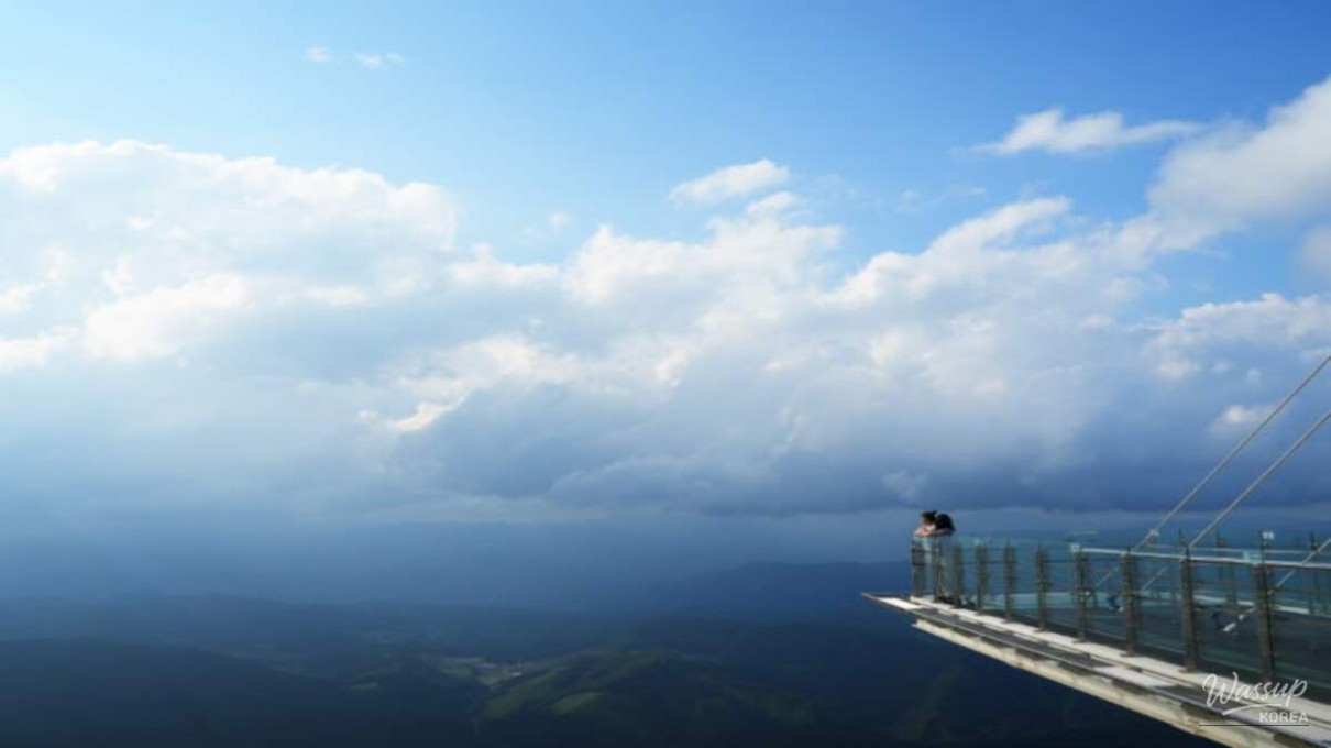 Snow-covered yew trees along a flat summit trail at Balwangsan in winter