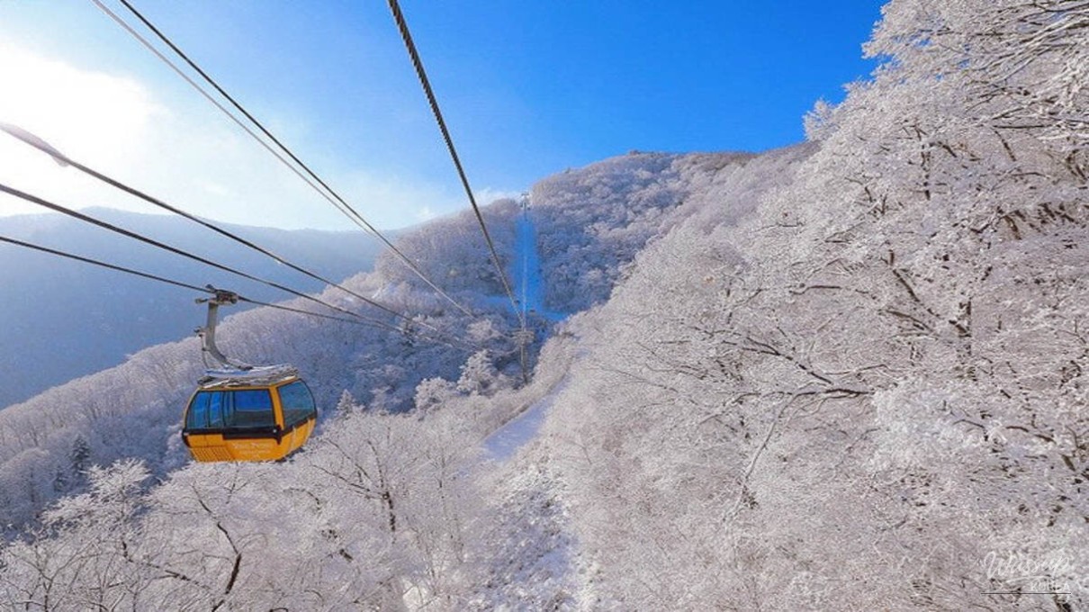 Balwangsan summit skywalk with glass flooring and expansive winter mountain views