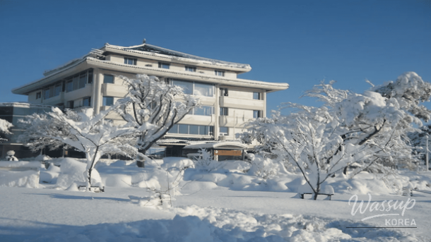 Peaceful winter scenery at Sokcho Beach with waves, walking paths, and photo spots