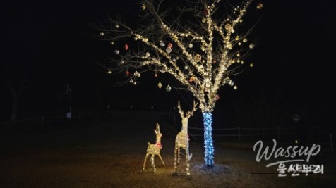 Decorations featuring reindeer and snowmen at Seonam Lake Park in winter