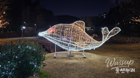 Benches and deck areas where visitors rest and enjoy the light display