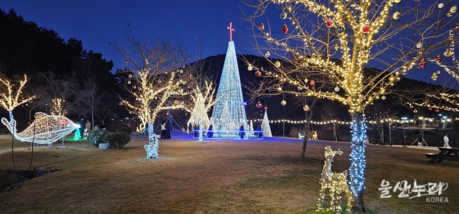 Families and couples enjoying Christmas lights at Seonam Lake Park in winter