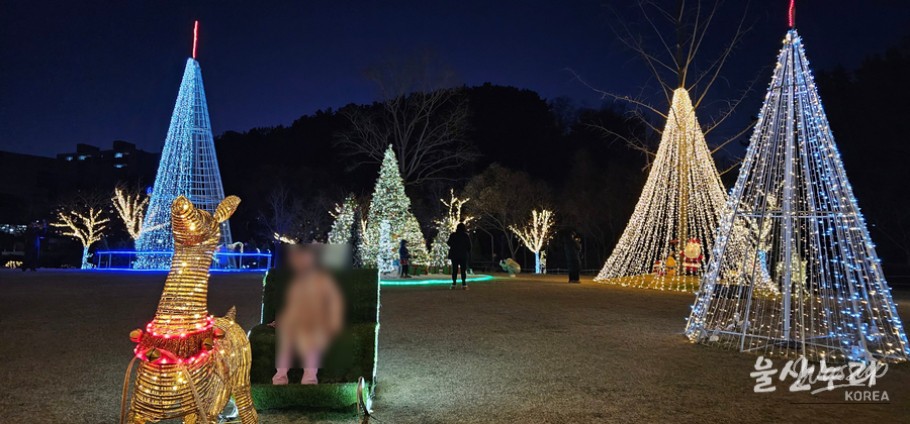 Romantic winter night scenery with decorative lights at Seonam Lake Park