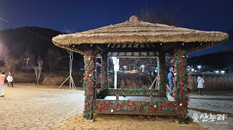 Visitors lining up to take photos in front of the illuminated main tree