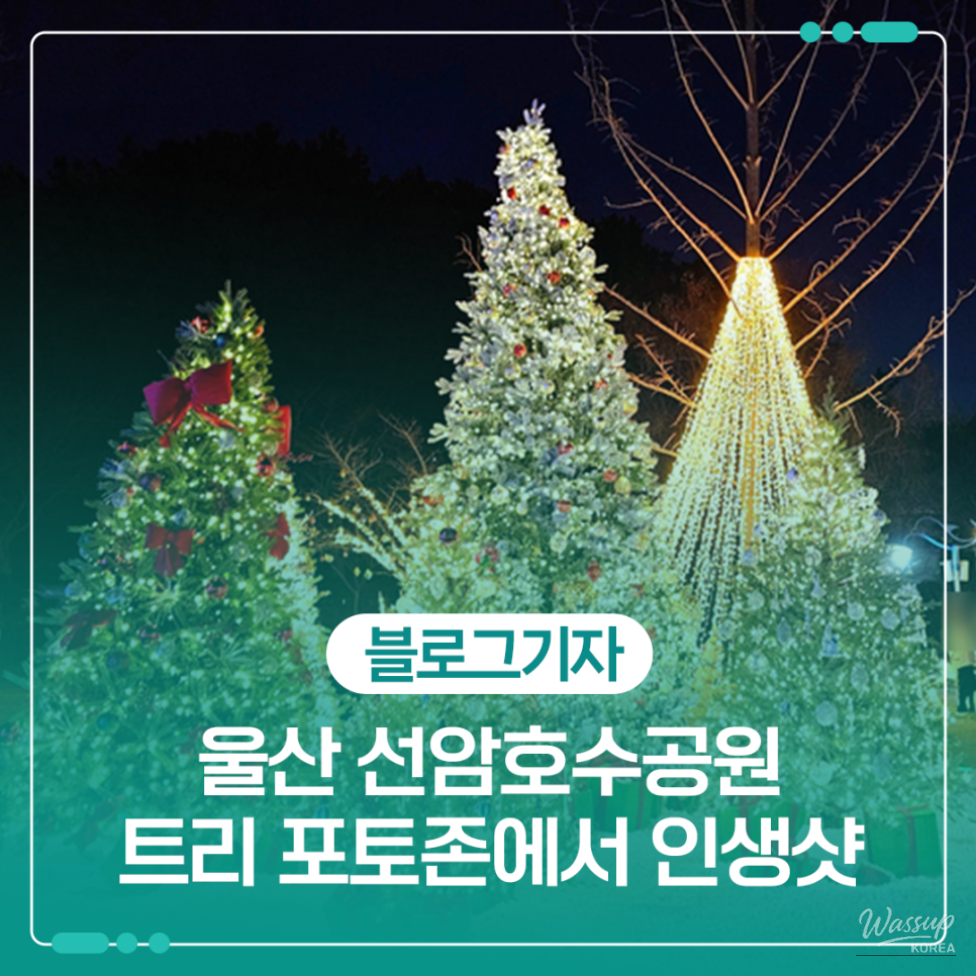 Winter light decorations illuminating the lawn area of Seonam Lake Park at night