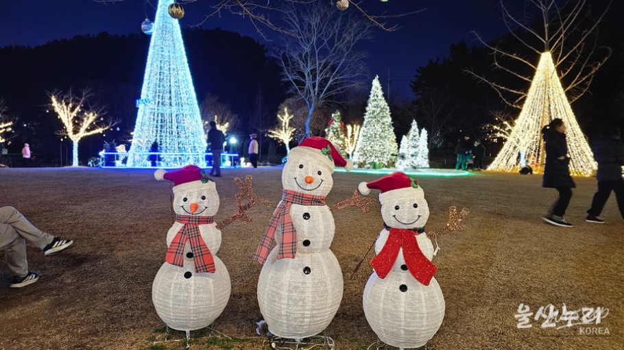 Wide view of Seonam Lake Park glowing with Christmas lights after sunset