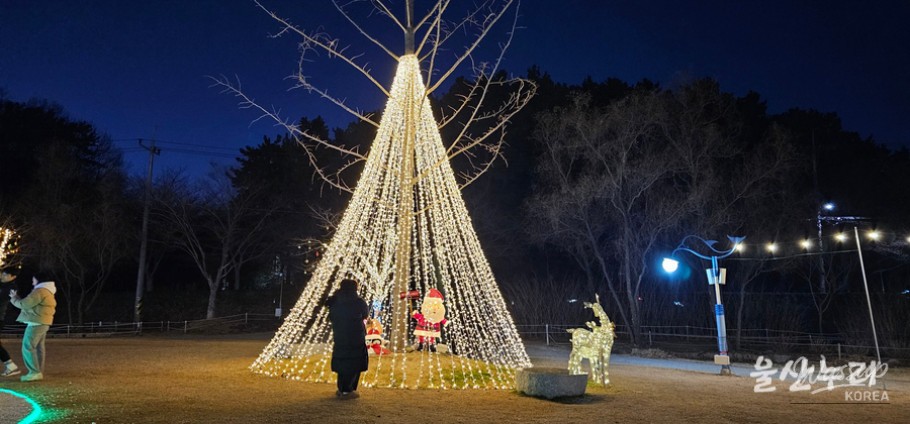 Colorful illuminated trees creating a festive atmosphere at Seonam Lake Park
