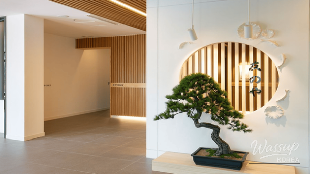 Hinoki bath and sunset atmosphere at Daecheon Tomonoya during winter