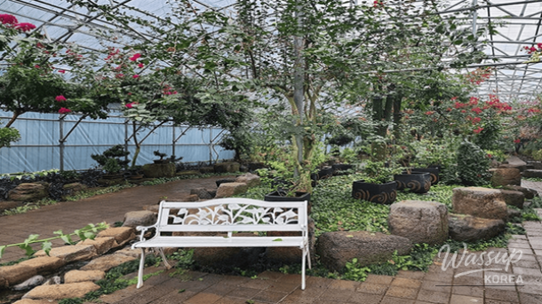 Sagye Coast in winter with a quiet coastal road, waves along the shore, and Sanbangsan Mountain in the background