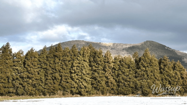 Quiet winter trail and natural scenery at Barime Oreum with no artificial structures