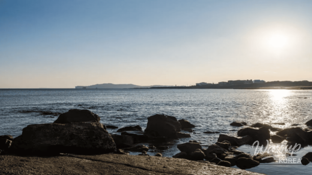 Indoor media art exhibition at Aiva Garden featuring immersive light and visual installations