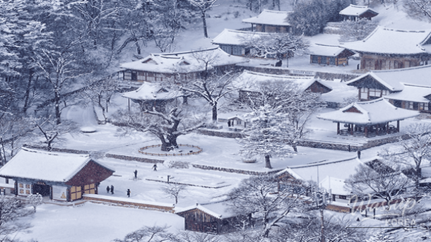 Quiet winter shoreline and pine forest scenery at Byeonsan Beach