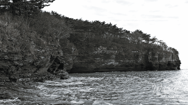 Fir forest path leading to Naesosa Temple during winter