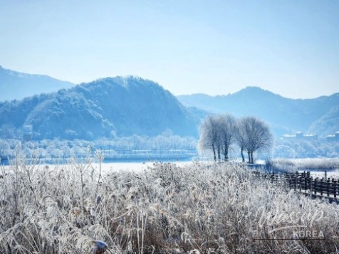 Snow-covered forest paths at Gwangchi Natural Recreation Forest in winter