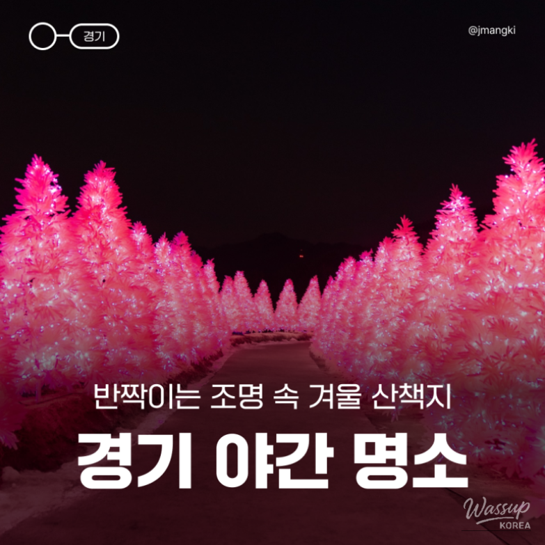 Winter night illumination and light festival scenery at Pocheon Herb Island