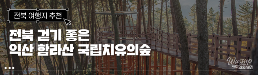 Evergreen forest trails and winter scenery at Iksan Hamrasan National Healing Forest