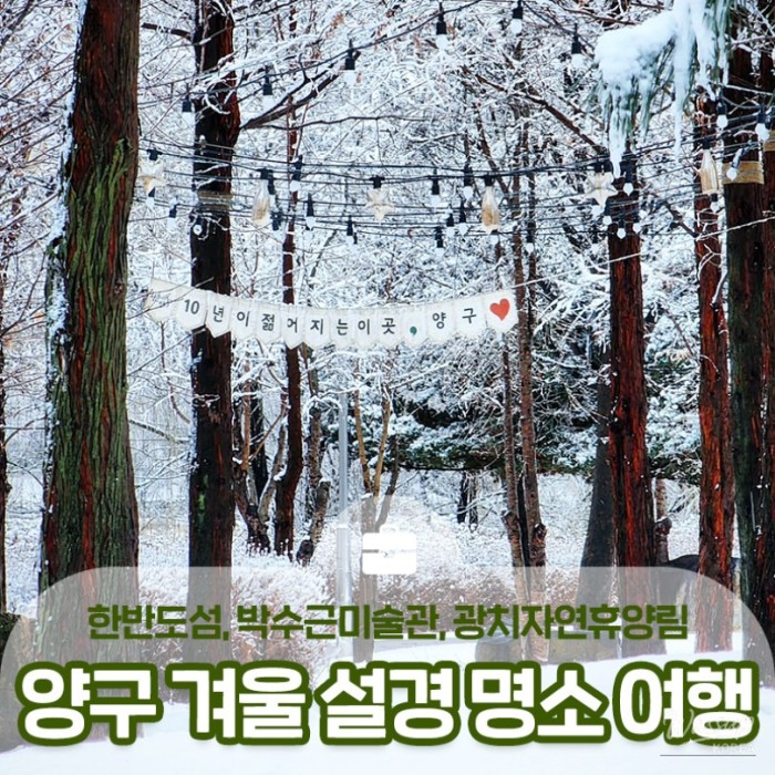 Snow-covered reeds and winter scenery at Hanbando Island in Yanggu