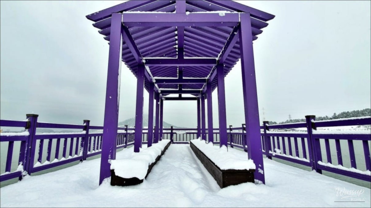 The Enchanting Purple Island: Banwol and Bakji Islands_01