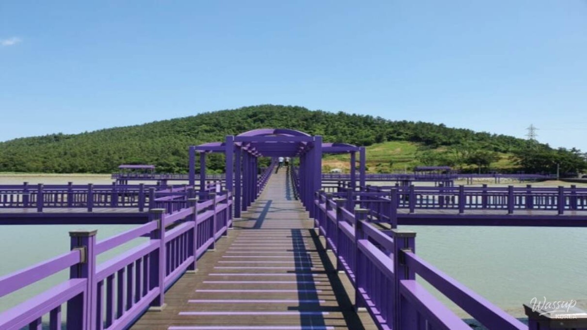 The Enchanting Purple Island: Banwol and Bakji Islands_02