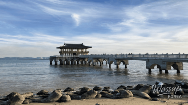 Exploring the Winter Charm of Pohang: Top 4 Must-Visit Places_05