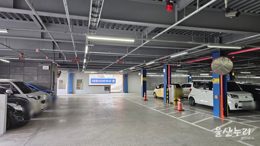 Exploring Suam Market: A Traditional Gem in Ulsan_15