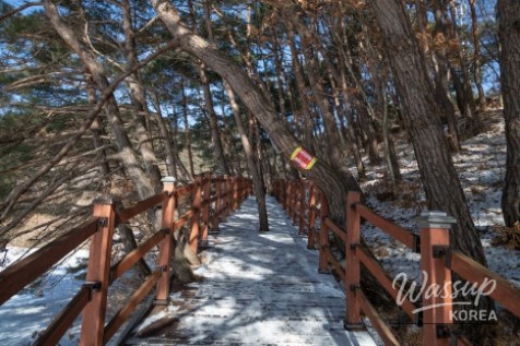 The Enchantment of Birongdam Reservoir in Winter_08