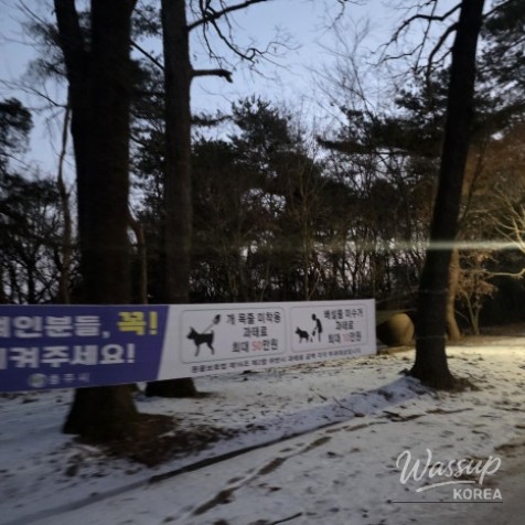 A New Year's Sunrise at Chungju Tankumdae_04