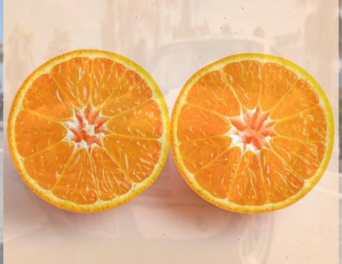 Jeju Golden Tangerine: A Premium Citrus Delight float