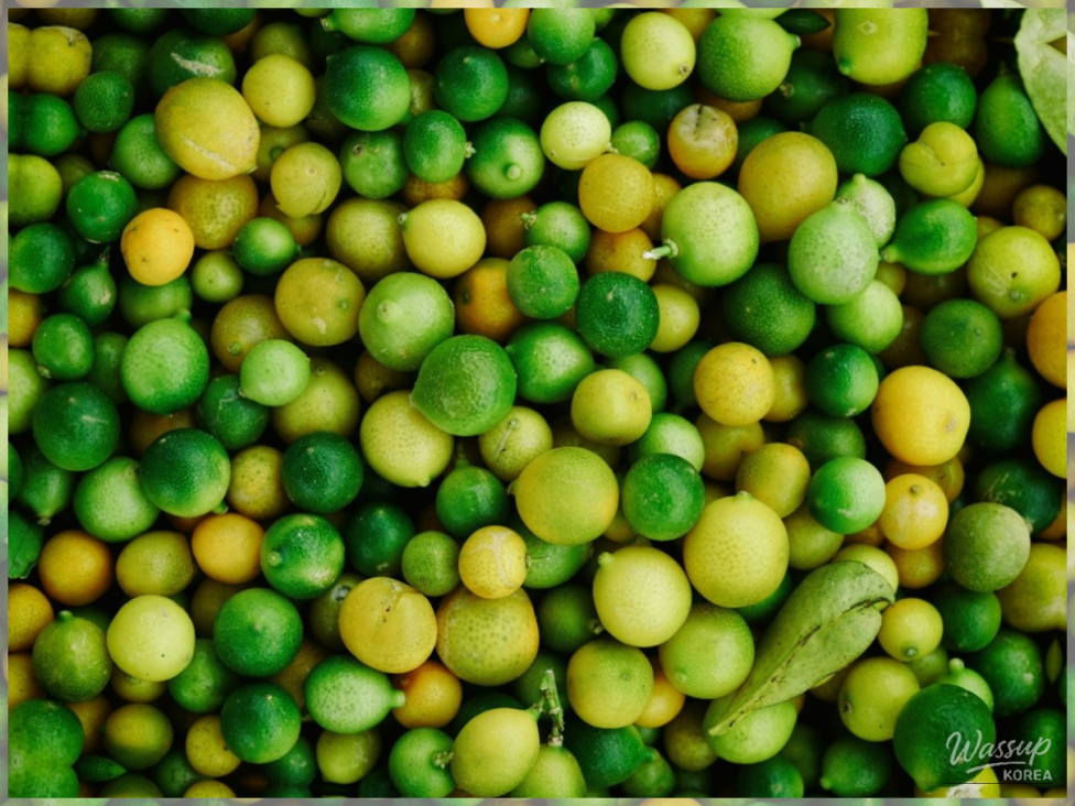 The Magic of Fruits: A Path to Health_04