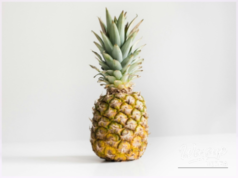 The Magic of Fruits: A Path to Health_07