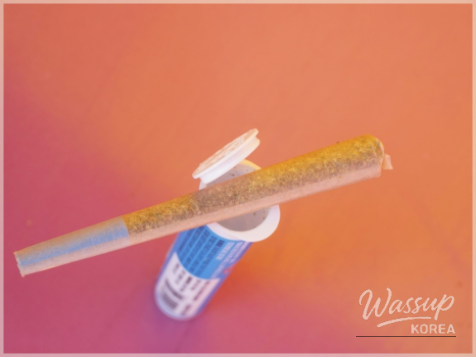 The Magic of Fruits: A Path to Health_05