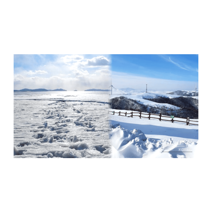 Top 4 Day Trips in January: Embrace the Winter Charm_01