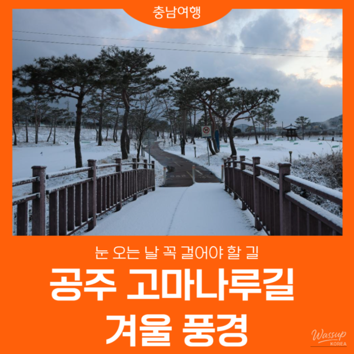Winter Scenery of Gomana-ru in Gongju_01