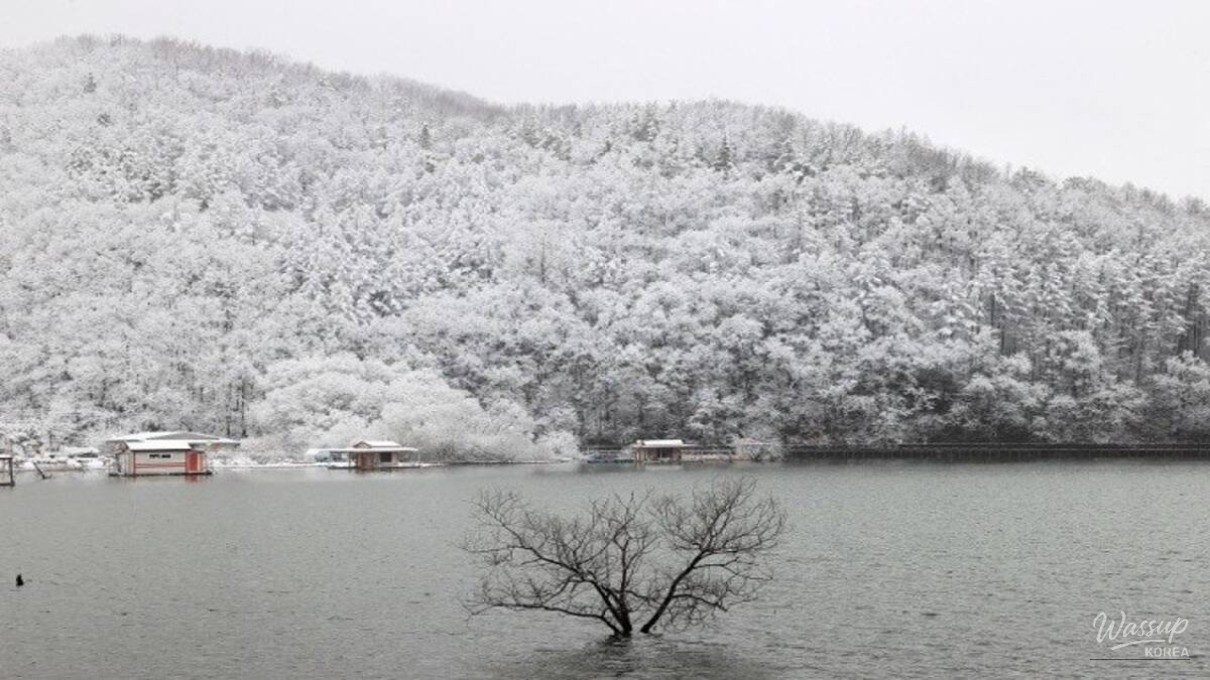 Exploring the Scenic Beauty of Geosan Lake_05