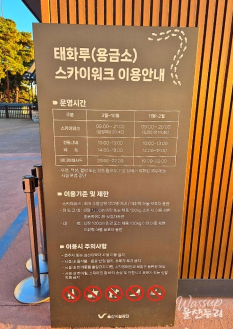 Explore the Ulsan Taehwa River Skywalk_03
