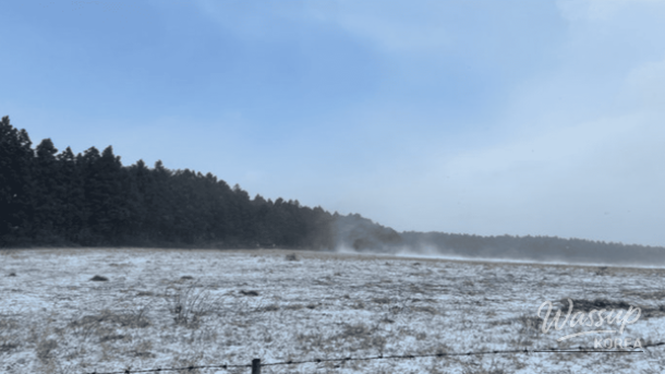 Winter Walking Destinations on Jeju Island_02