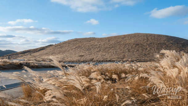 Winter Walking Destinations on Jeju Island_03