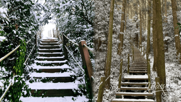 Winter Walking Destinations on Jeju Island_01
