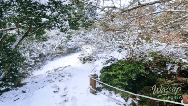 Winter Walking Destinations on Jeju Island_04