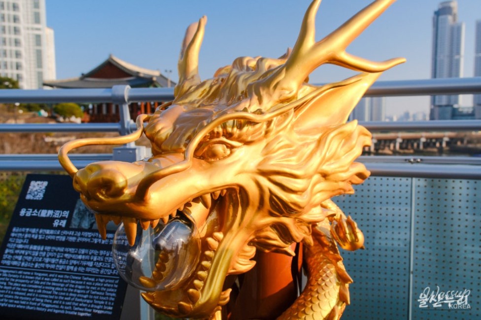 Exploring the Taehwa River Skywalk_15