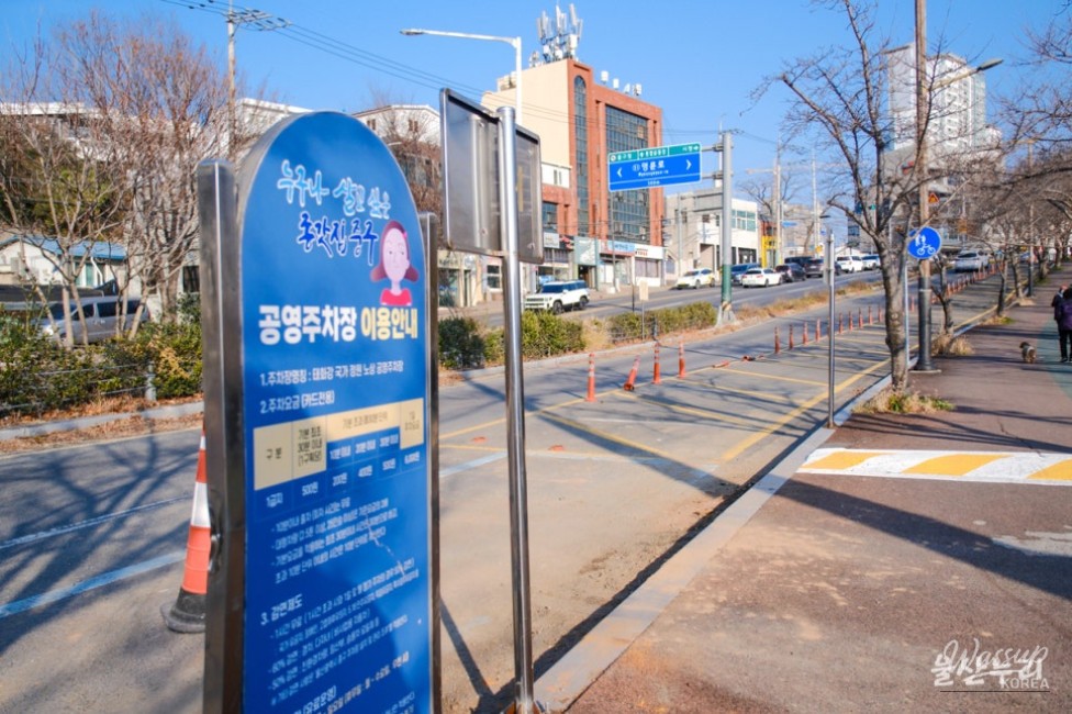 Exploring the Taehwa River Skywalk_02