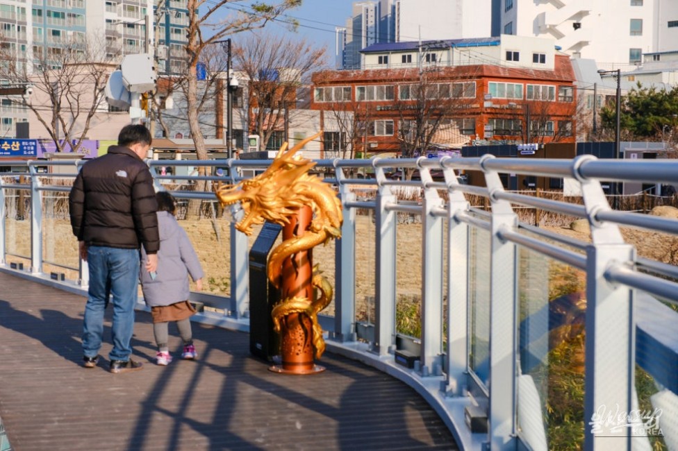 Exploring the Taehwa River Skywalk_16
