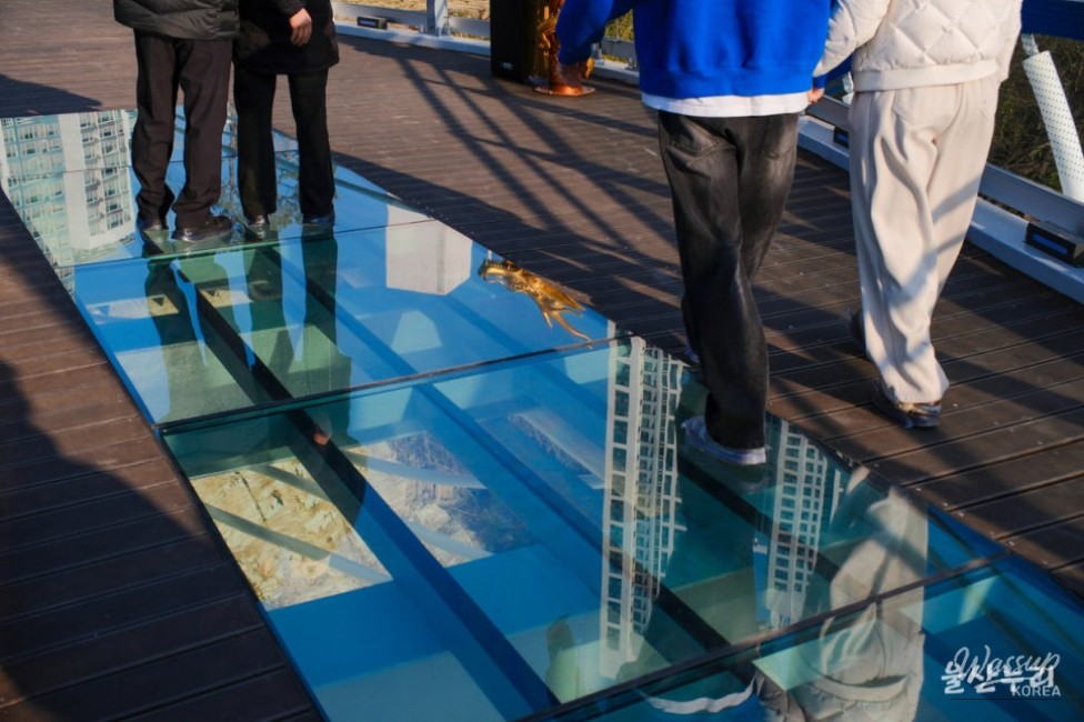 Exploring the Taehwa River Skywalk_10