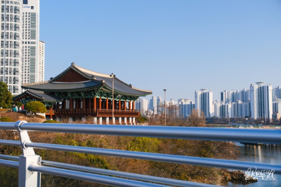 Exploring the Taehwa River Skywalk_17