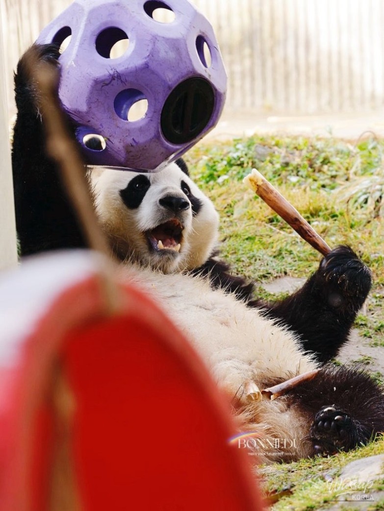 New Year Reflections and Health Journey_05