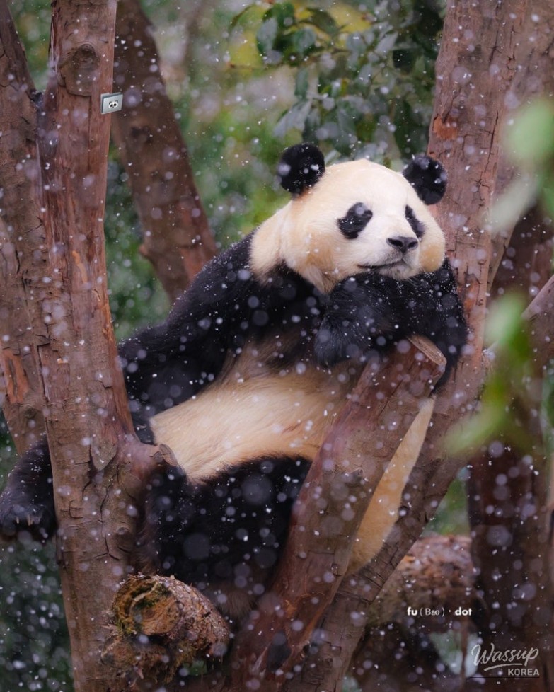 New Year Reflections and Health Journey_04